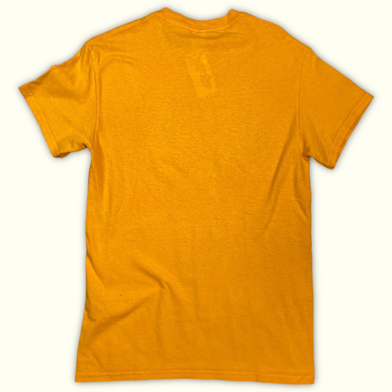 Gildan T-shirt Regular Homme 2020s Indie – S
