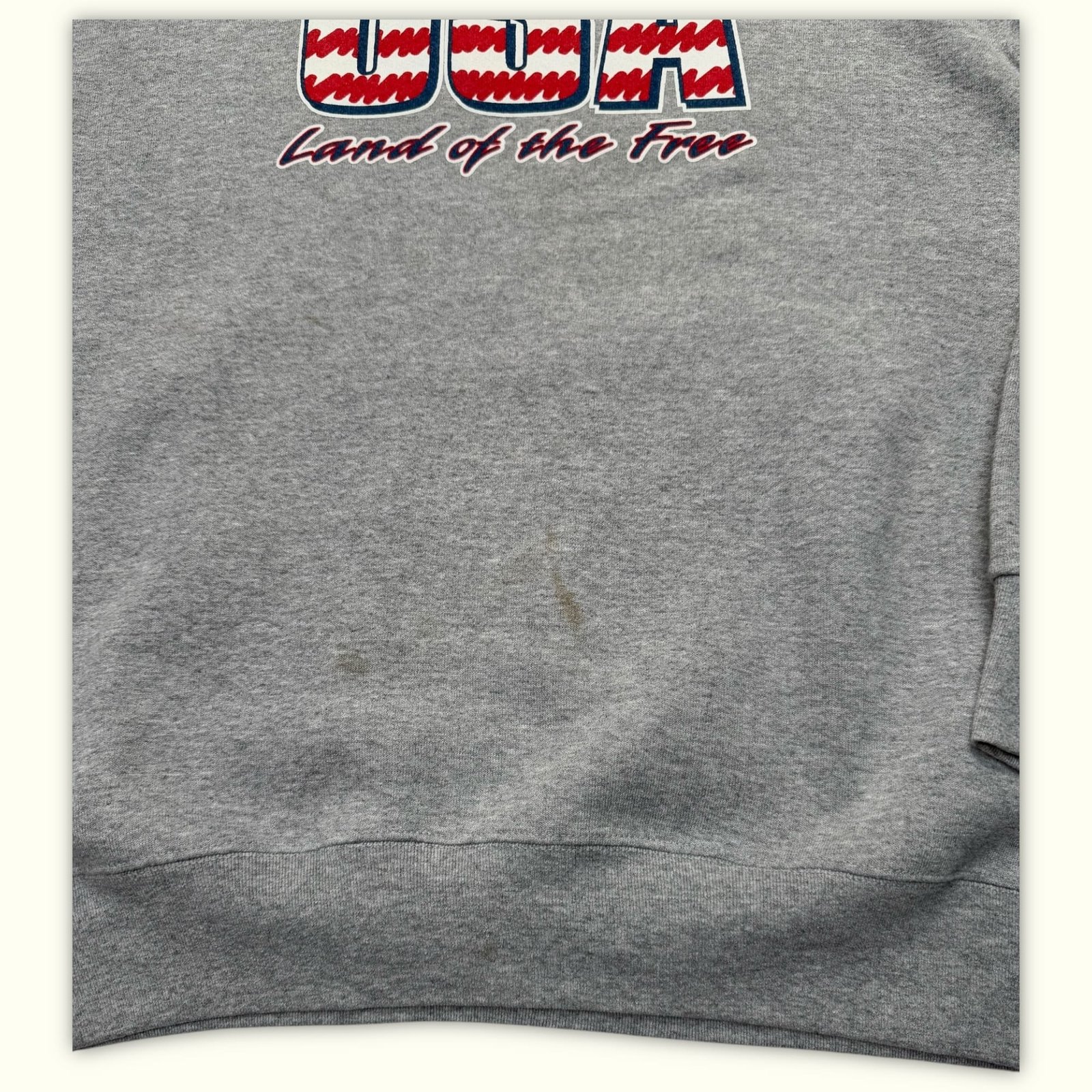 Fruit Of The Loom Sweat Regular Homme 2000s Vintage – L