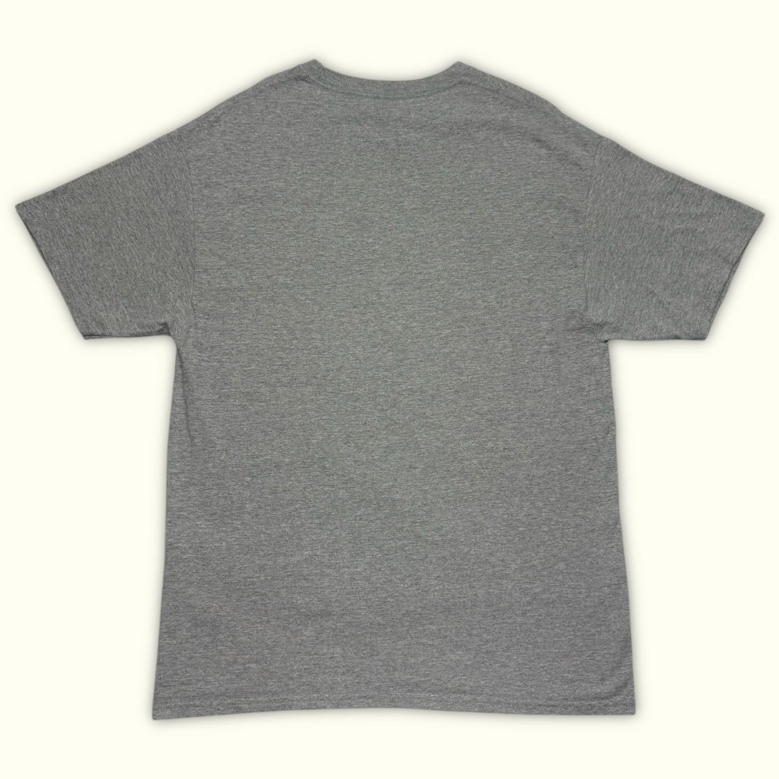 Hanes T-shirt Regular Homme Minimaliste – L