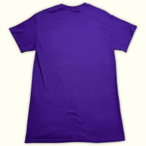 Gildan T-shirt Regular Homme Académique – S