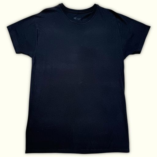 Hanes T-shirt Regular Homme Minimaliste – M